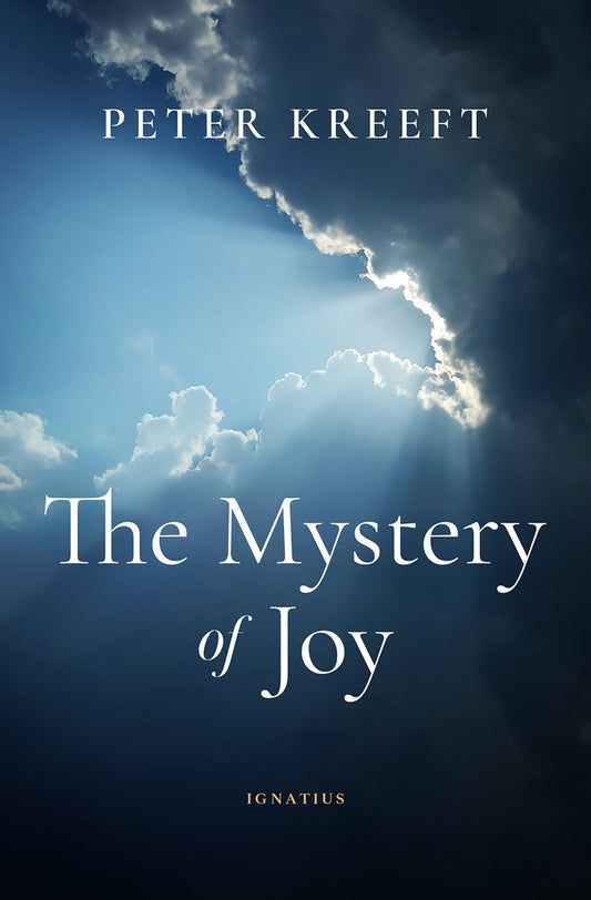 Book: The Mystery of Joy